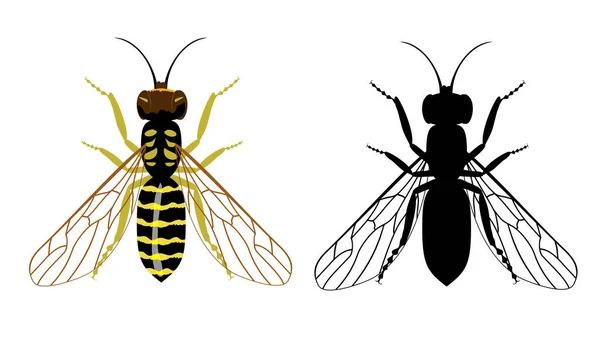 Silueta colorida y negra de avispa sobre fondo blanco. Ilustración de insectos voladores . — Vector de stock