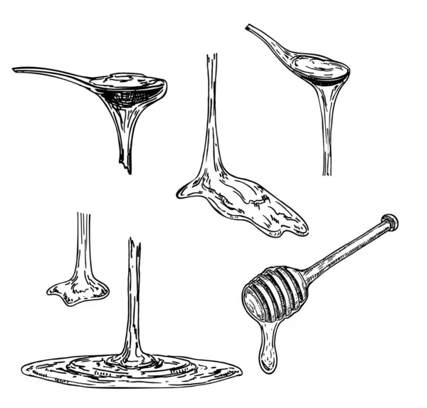 Le miel ou le sirop d'érable s'égoutte d'une cuillère. Croquis. Substance visqueuse qui dégouline d'une cuillère. Illustration vectorielle sur fond blanc . — Image vectorielle