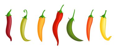 Kırmızı biber. Sıcak kırmızı, yeşil ve sarı kırmızı biber. Farklı biber renkleri. İzole Meksika baharatları, vektör paprika simgesi işaretleri.
