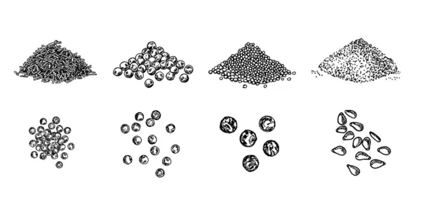 Stapels kruiden. Zwarte pepererwten, sesamzaad, maanzaad, karwijzaad. Kruiden gezet. Natuurlijke kruiden en koken ingrediënt. Vector lijn kunst illustratie op witte achtergrond — Stockvector