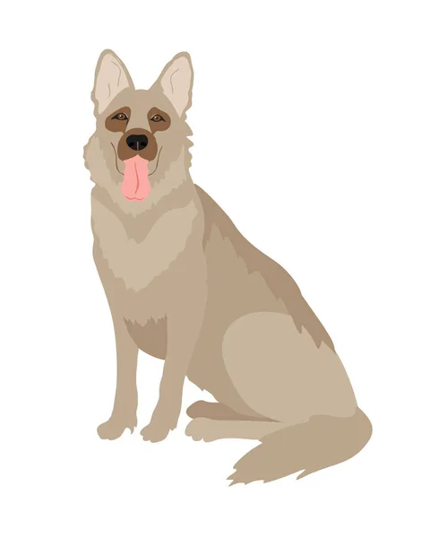 Tyska Shepherd hund ras vektor illustration. Hund fullblod isolerad på en vit bakgrund. Husdjur. — Stock vektor