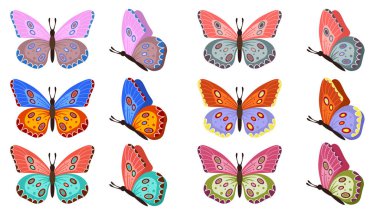 Farklı kelebek koleksiyonu. Vektör çizimi. Beyaz arka planda izole edilmiş renkli kelebekler. Çocuk için bahar paleti ile ayarlanmış güzel vektör kelebeği.