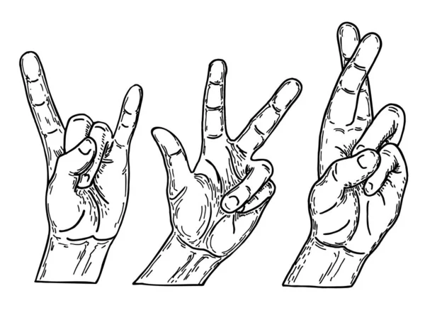 Gestos de mão em diferentes posições esboço. Diferentes gestos de mãos humanas isoladas em um fundo branco. Acções manuais . — Vetor de Stock