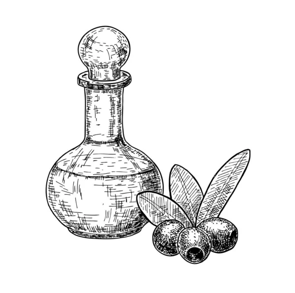 Conjunto de bocetos de botella de aceite de oliva y fruta de oliva. Ilustración vectorial dibujada a mano aislada sobre fondo blanco . — Vector de stock