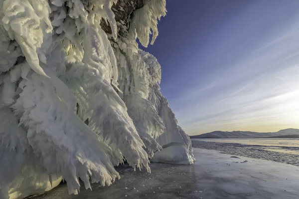 Baykal Gölü kıyısında kar ağacı