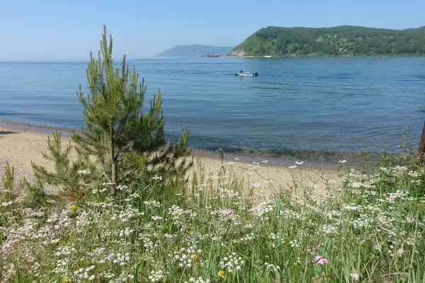 Angara 'nın kaynağı. Baykal Limanı.