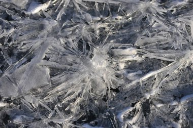 Yıldız şeklinde buz kristalleri