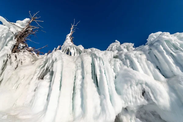 Baykal Gölü 'nde buzla kaplı kıyı ve ağaçlar.