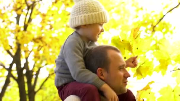 Chlapeček sedí na krku svého otce a shromažďování žluté maple listy v kytici v podzimním lese — Stock video