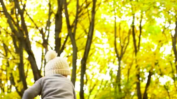 Маленький мальчик кастрирует жёлтые листья в осеннем лесу — стоковое видео