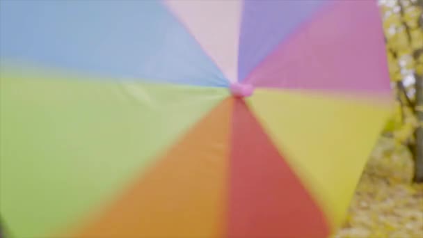 Gros plan de jolie fille en imperméable jaune jouant avec parapluie de couleur dans la forêt d'automne 