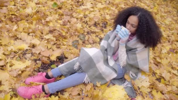 Aranyos fekete lány csomagolás magát gyapjú takaró és forró teát iszik — Stock videók