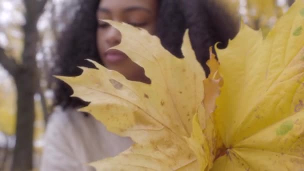 Hermosa adolescente negro recogiendo hojas de arce amarillo en ramo — Vídeos de Stock