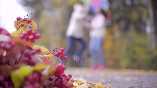 Two teenagers having fun with umbrellas in autumn park — Stock Video