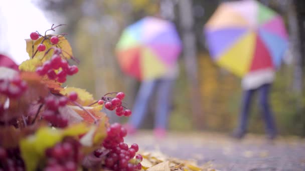 Dva Teenageři baví s deštníky na podzim park — Stock video