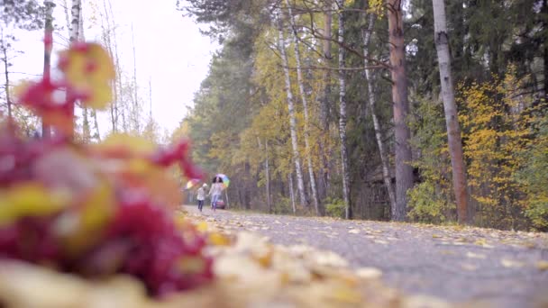 Schattige tienermeisjes die dwars over de herfst bos — Stockvideo