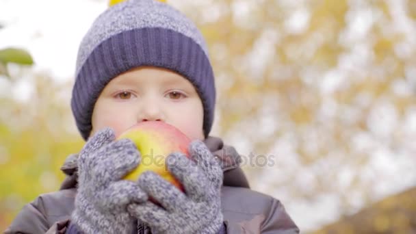 Маленький мальчик ест большое яблоко в саду — стоковое видео