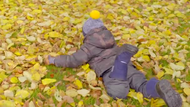 Маленький мальчик делает ангела в осенних листьях — стоковое видео