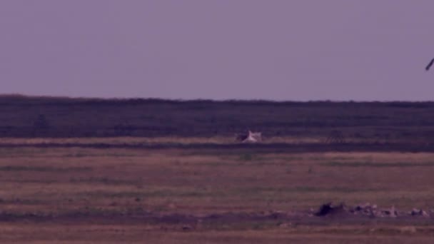 Вооруженные снаряды с парашютом попадают в цель во время российской военной подготовки проверки готовности — стоковое видео
