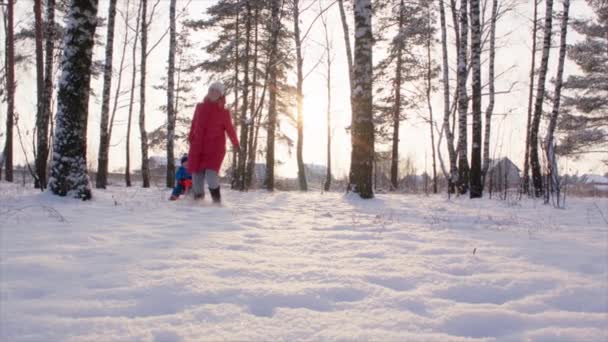 Anne ve küçük oğlu günbatımında kış ormanda yürüyüşe sahip — Stok video