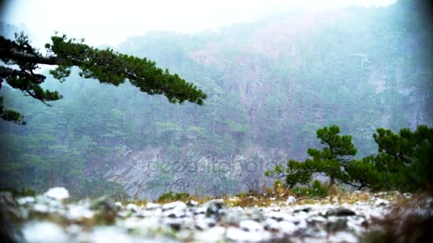 Foggy mountain view with snow — Stock Video