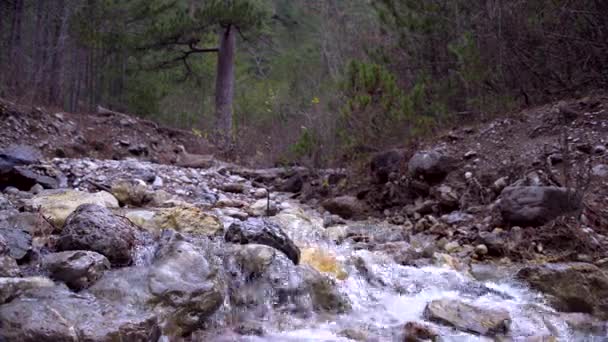 Mountain Creek no outono — Vídeo de Stock
