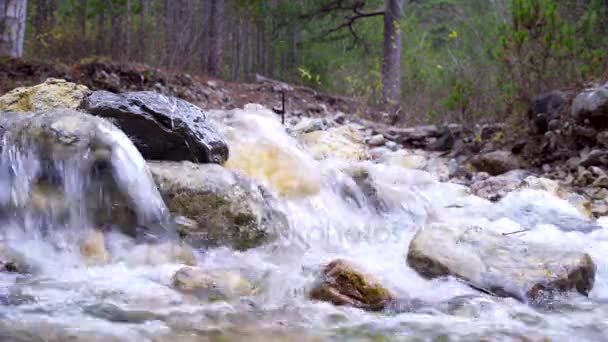 Mountain creek i kamienie — Wideo stockowe