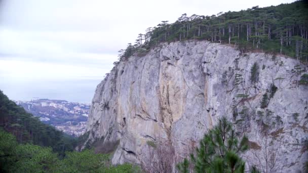 Vista da montanha na Crimeia. Floresta de pedra — Vídeo de Stock