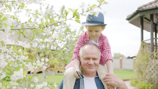 小さな男の子が granddads の首に座っていると、春の庭に笑みを浮かべて — ストック動画