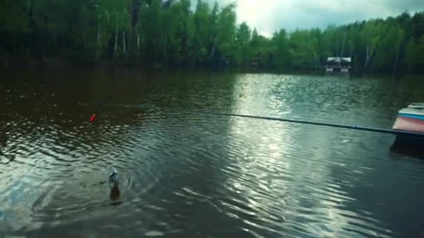 Menino e seu avô pegando um grande salmão durante a pesca de água doce no lago — Vídeo de Stock