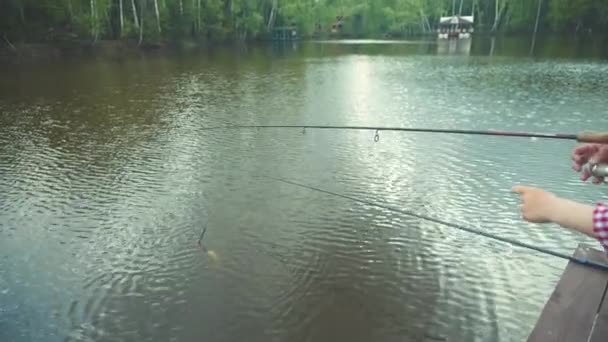 Маленький хлопчик і його дідусь збирають рибу з води на прісноводній риболовлі — стокове відео