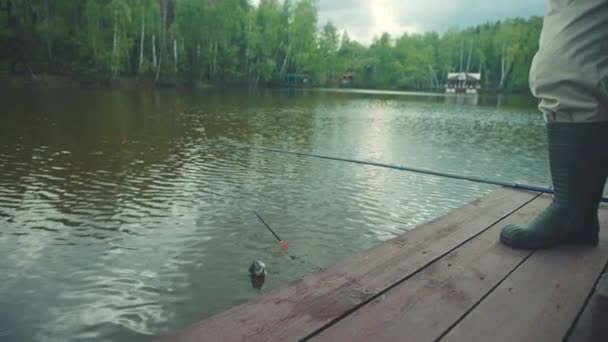 Pescador está sosteniendo pescado de salmón capturado en el gancho en sus manos — Vídeo de stock