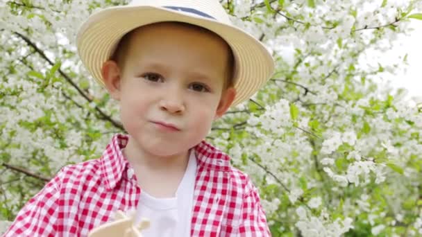 Nahaufnahme Porträt eines kleinen Jungen im blühenden Park am Frühling — Stockvideo