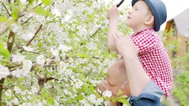 Дідусь і хлопчик дивляться через збільшувальний келих на цвітіння вишні в весняному саду в селі — стокове відео