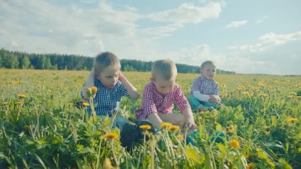 Tre små pojkar leker i gräset på fältet — Stockvideo