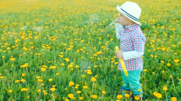 Little pretty boy is blowing bubbles at flowering field — Stock Video