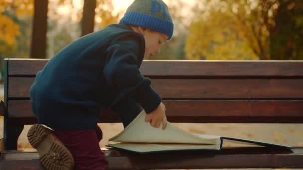 Niño pequeño está viendo gran álbum familiar en el parque de otoño y luego dejarlo — Vídeos de Stock