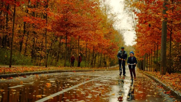 Niño y su abuelo están montando patinetas scooters en el parque de otoño — Foto de Stock