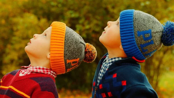 秋の公園で帽子身に着けている 2 つの小さな男の子 — ストック写真
