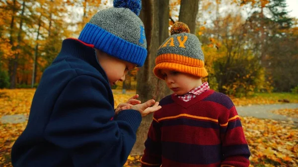 Zwei kleine Jungen mit Hüten im Herbstpark — Stockfoto