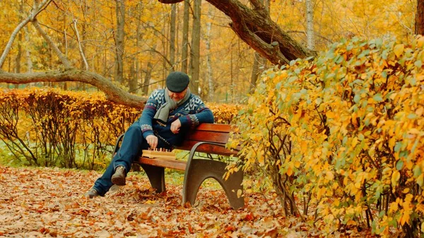 Viejo está jugando ajedrez solo en el banco en el parque de otoño —  Fotos de Stock