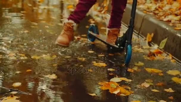 Niño y su abuelo están montando patinetas scooters en el parque de otoño — Vídeos de Stock