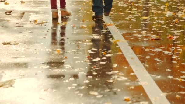 Liten pojke och hans farfar har en promenad i parken hösten — Stockvideo