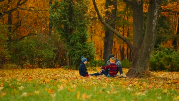 Kleine Jungen spielen mit Opa Schach im Herbstpark unter dem großen Baum — Stockvideo