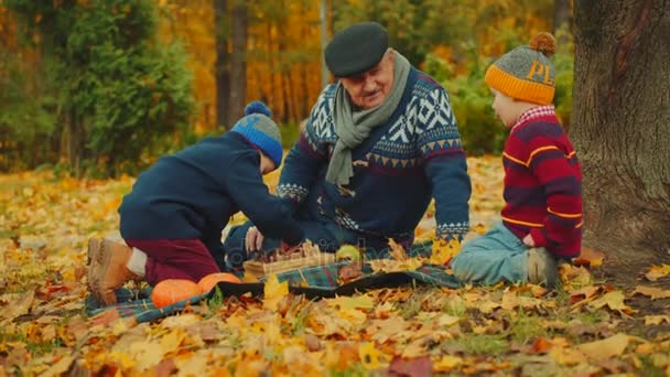 Grandfather is teaching his grandsons to play chess in the autumn park — Stock Video