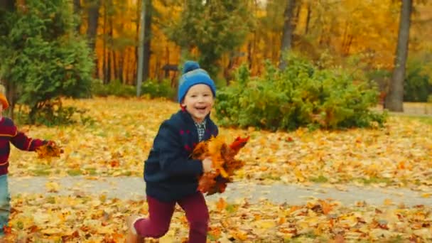 Grootvader speelt catch-up met zijn kleinkinderen in de herfst park — Stockvideo