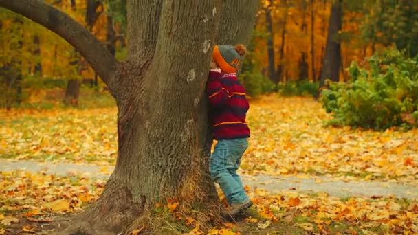 Kleine Jungen spielen Versteck im Herbstpark — Stockvideo