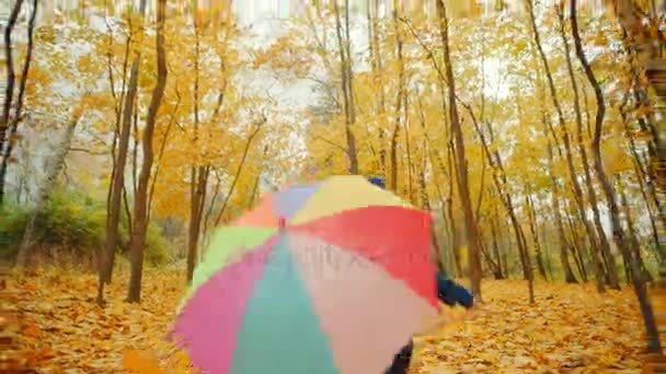 Two happy little boys are walking in the autumn under umbrella — Stock Video