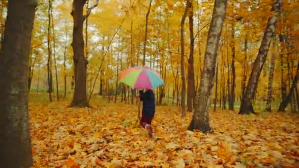 Gelukkig jongetje is wandelen in de herfst park onder paraplu — Stockvideo