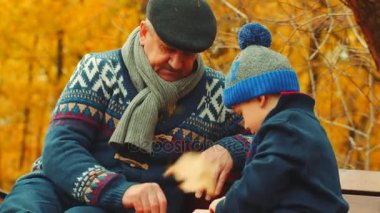 Dedesi torununu sonbahar parkta bankta satranç oynamak için öğretiyor